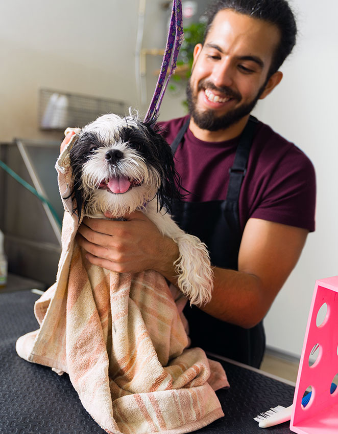 Dog groomer - SBA Loan Resources