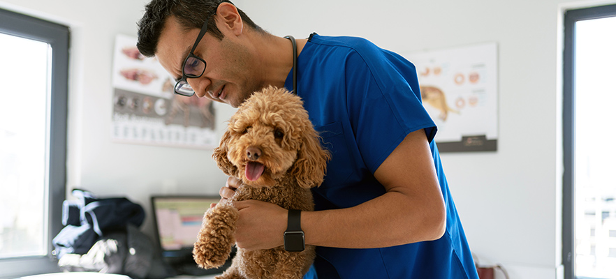 Veterinarian SBA Loan Case Study from First Bank of the Lake  - A Top 15 SBA Lender