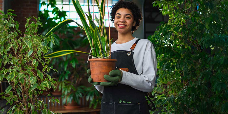 SBA Loan Use Case for Franchise Loan Financing